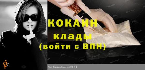 трава Карпинск
