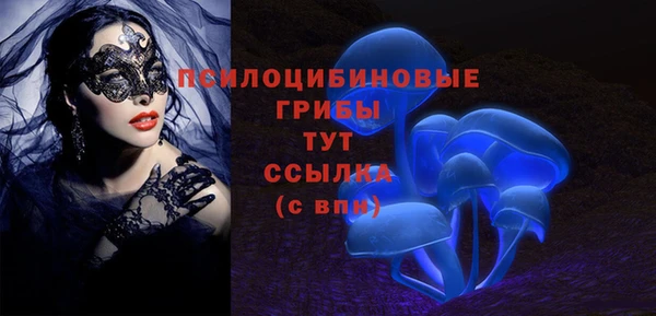 сатива Козельск