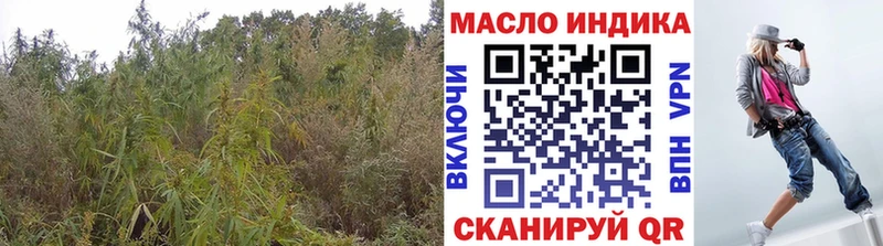 Дистиллят ТГК вейп  где можно купить наркотик  omg зеркало  Севастополь 